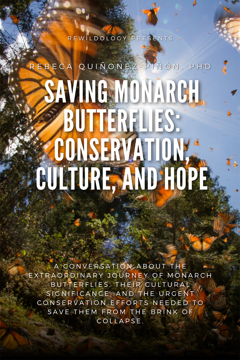 Saving Monarch Butterflies: Rebeca Quiñonez-Piñón, Phd
