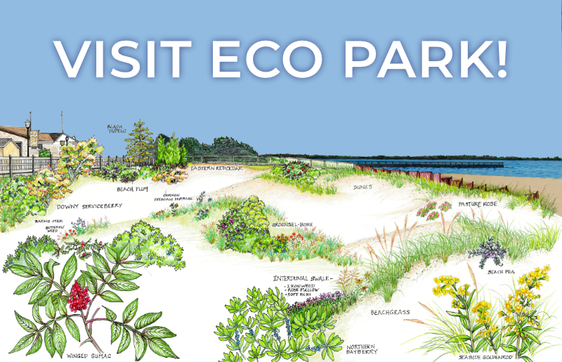 Visit Eco Park!